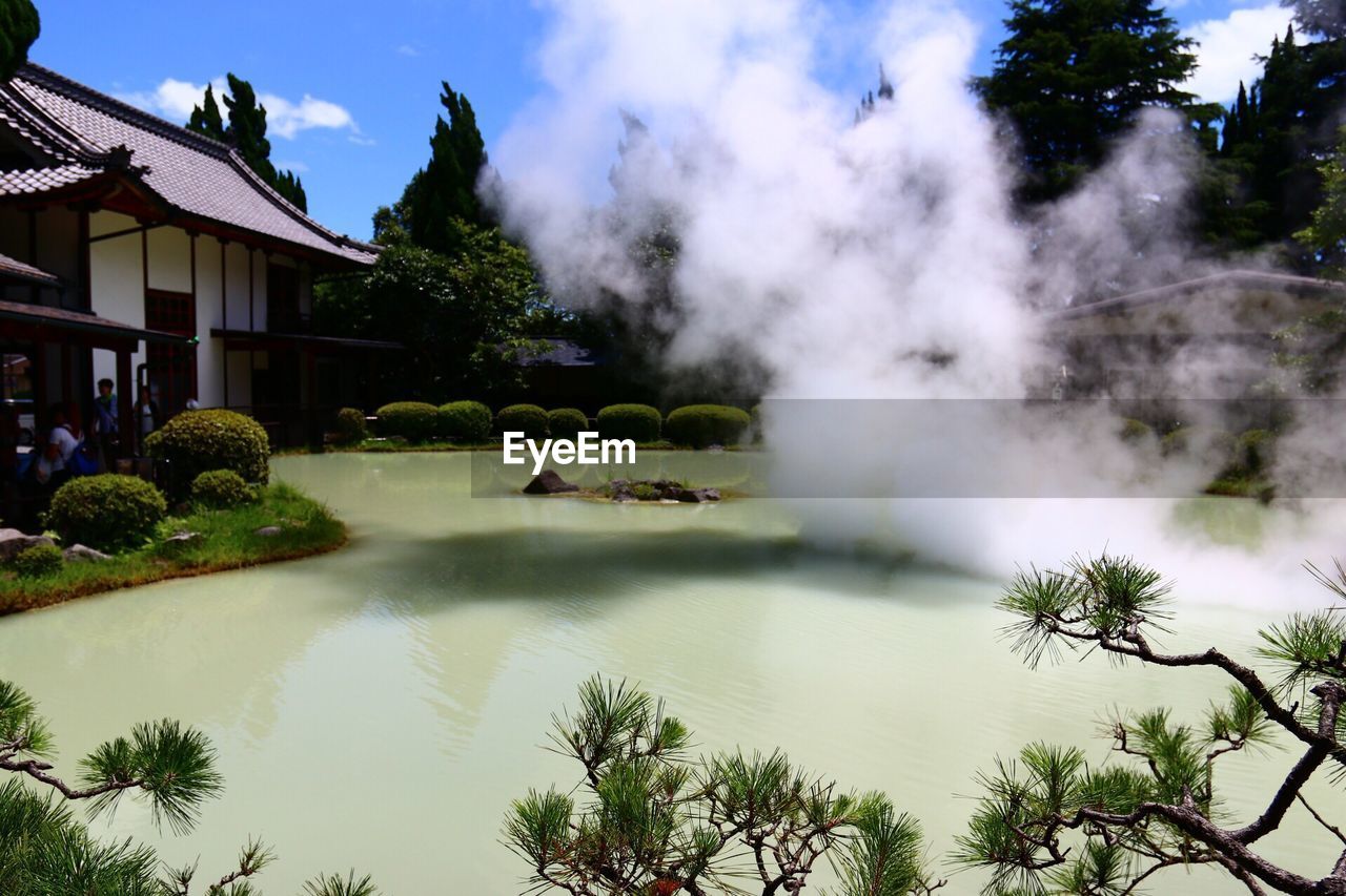 View of hot spring against trees