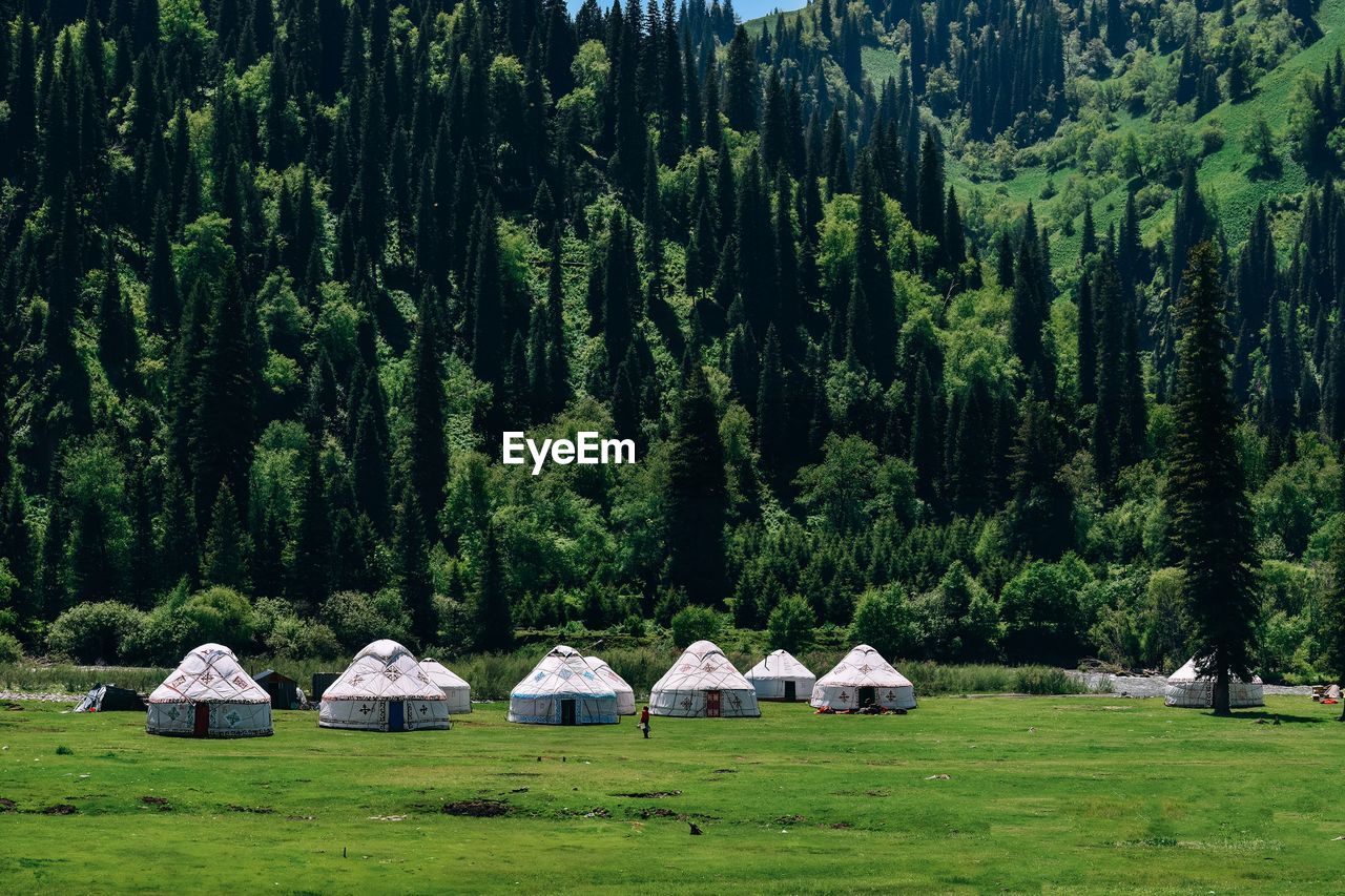 A few kazakh yurts in bayinbulak swan lake reserve, xinjiang