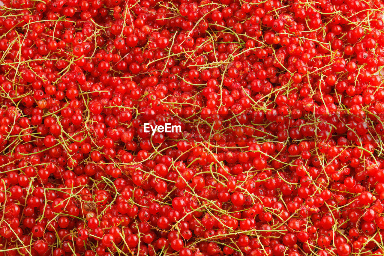 full frame shot of red fruits