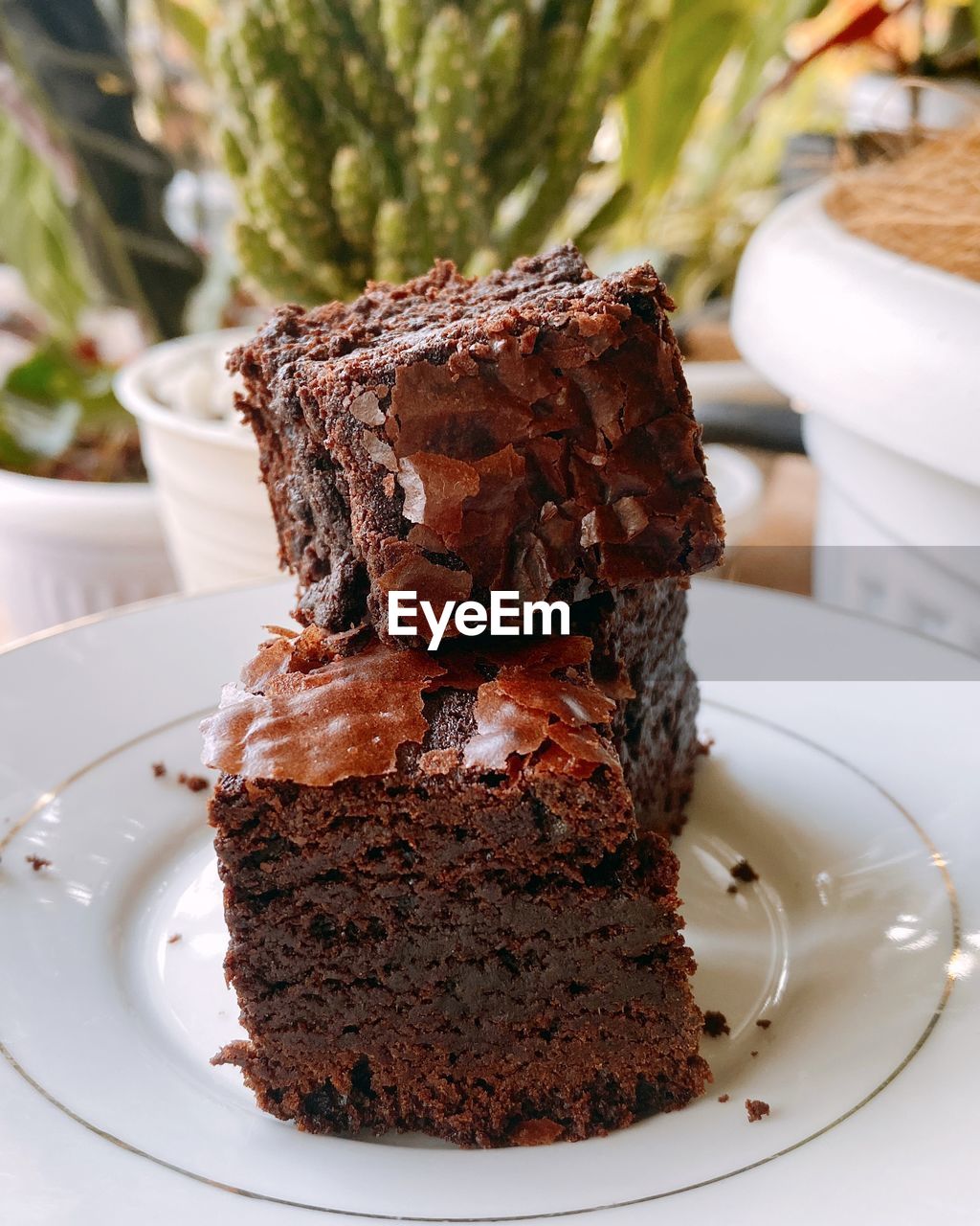 close-up of cake