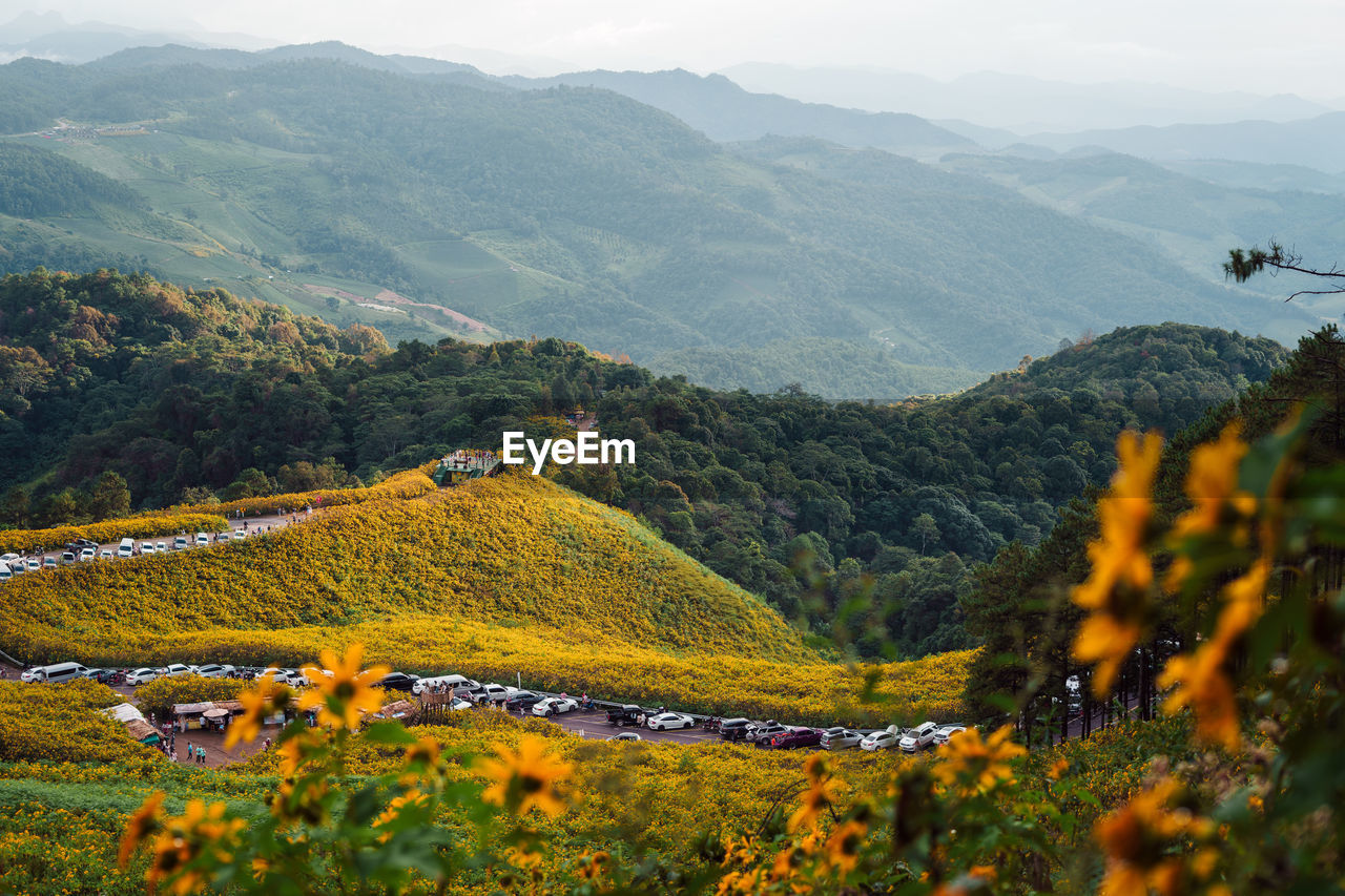 mountain, landscape, scenics - nature, environment, beauty in nature, plant, land, flower, nature, mountain range, autumn, valley, rural scene, field, tree, tranquility, tranquil scene, sky, growth, rural area, meadow, wilderness, flowering plant, no people, non-urban scene, travel, agriculture, idyllic, plateau, day, yellow, outdoors, forest, travel destinations, transportation, freshness, tourism, high angle view, architecture, crop, leaf, fog
