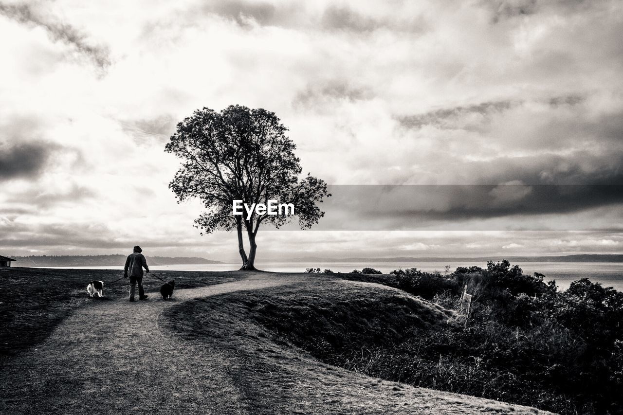 Rear view of man walking with dogs on footpath against cloudy sky