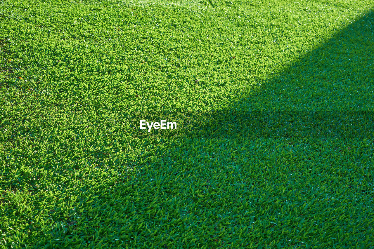 HIGH ANGLE VIEW OF SUNLIGHT FALLING ON FIELD