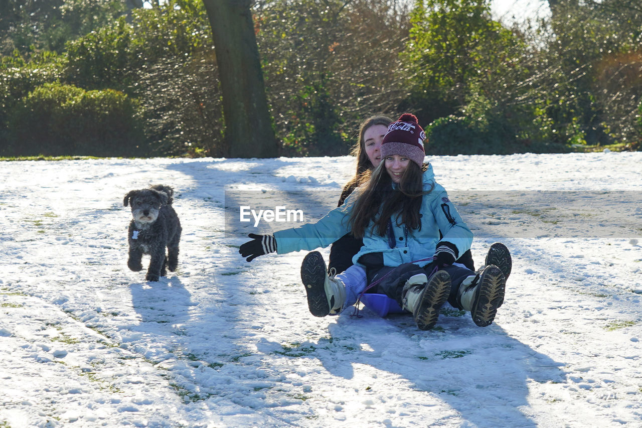 DOGS SITTING IN SNOW