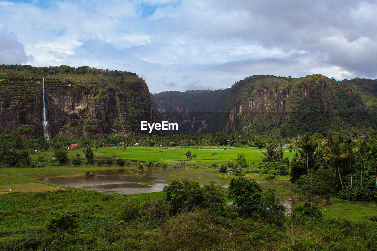 Scenic view of green landscape against sky