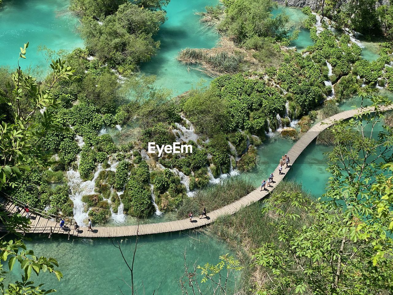 HIGH ANGLE VIEW OF PLANTS AND TREES BY RIVER