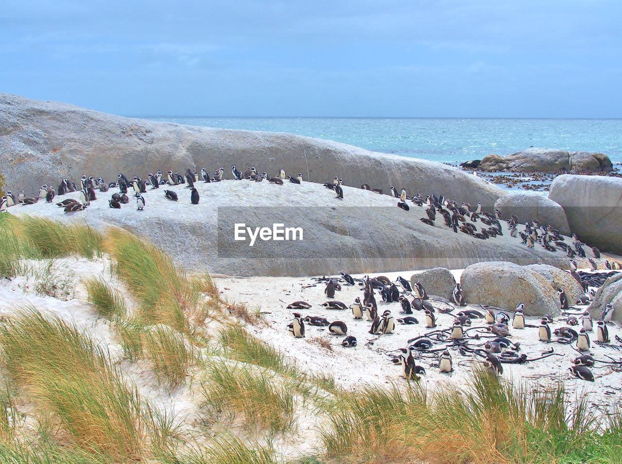 PANORAMIC VIEW OF SEA BY ROCKS AGAINST SKY