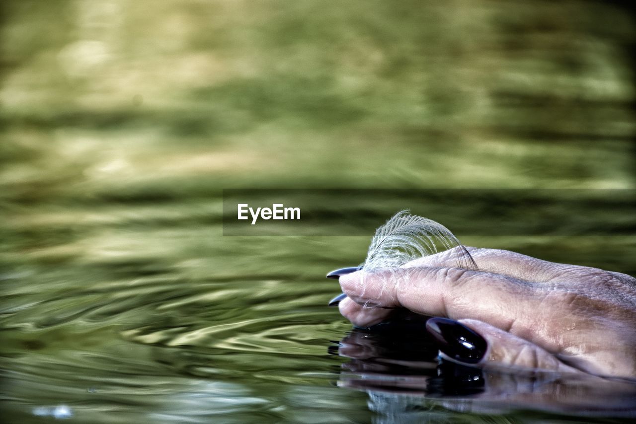 PERSON HAND IN LAKE