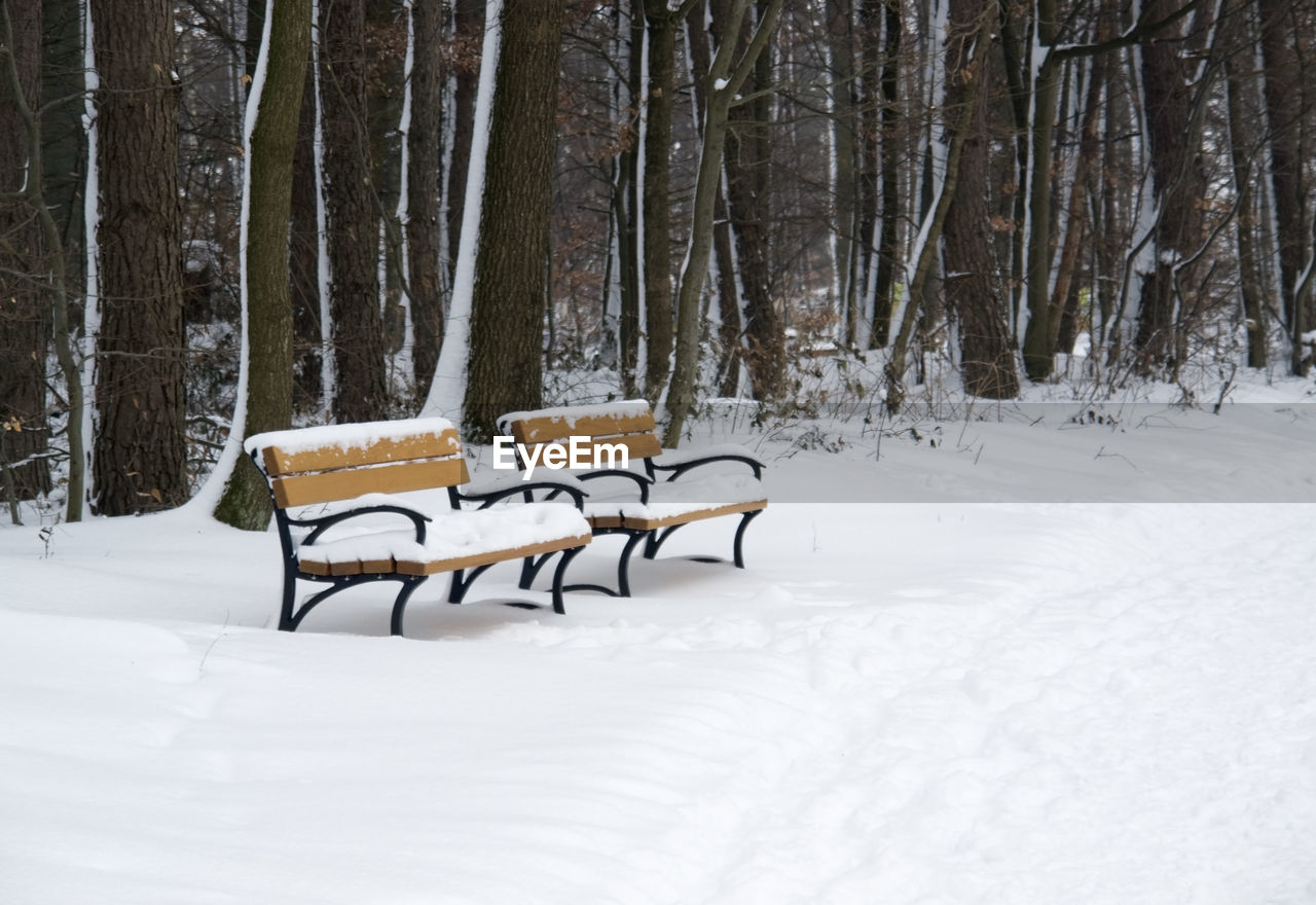 VIEW OF TREES ON SNOW COVERED FIELD