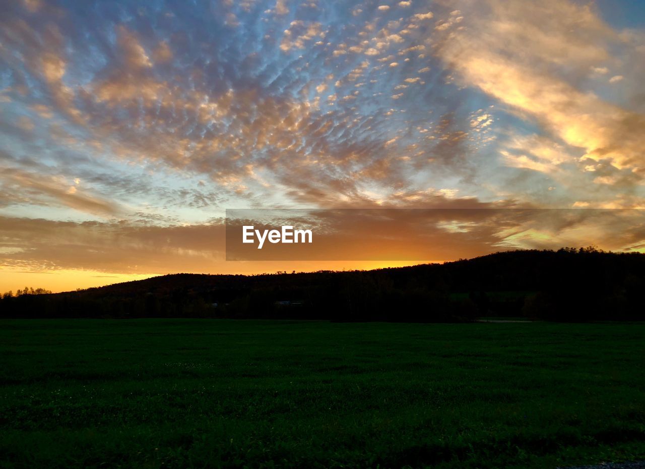 SCENIC VIEW OF GRASSY FIELD AGAINST SKY AT SUNSET