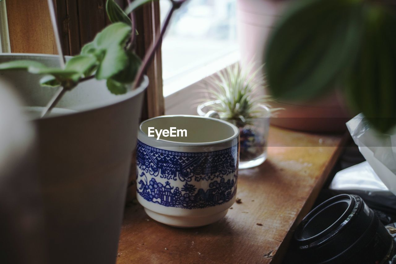 Close-up of potted plants on table at home