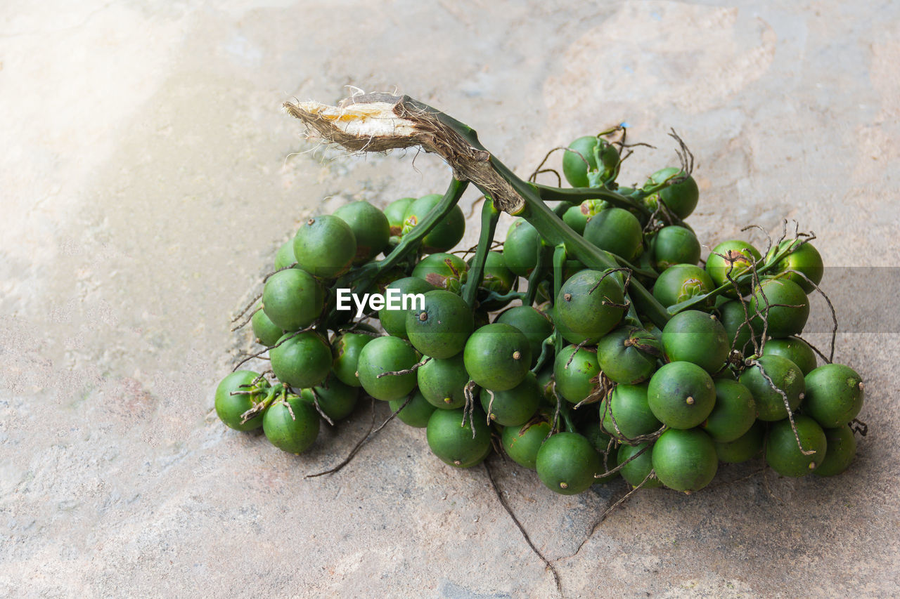 food and drink, food, healthy eating, fruit, green, freshness, wellbeing, plant, produce, no people, grape, nature, flower, still life, bunch, outdoors, agriculture, high angle view, day