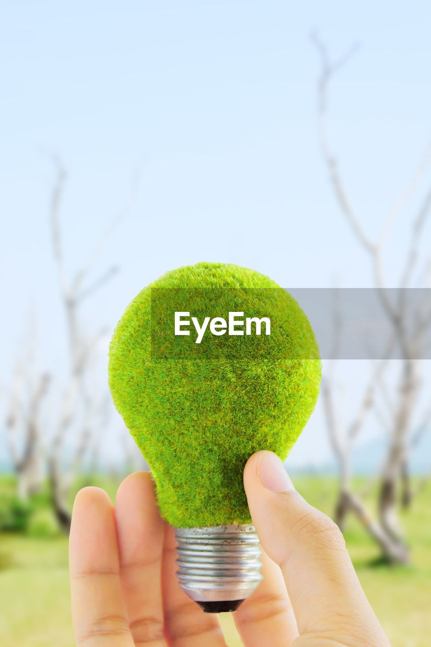 Cropped image of person holding moss covered light bulb