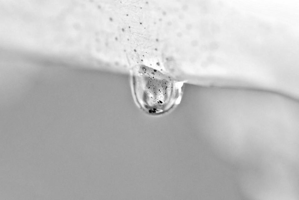 Close-up of water drop wall