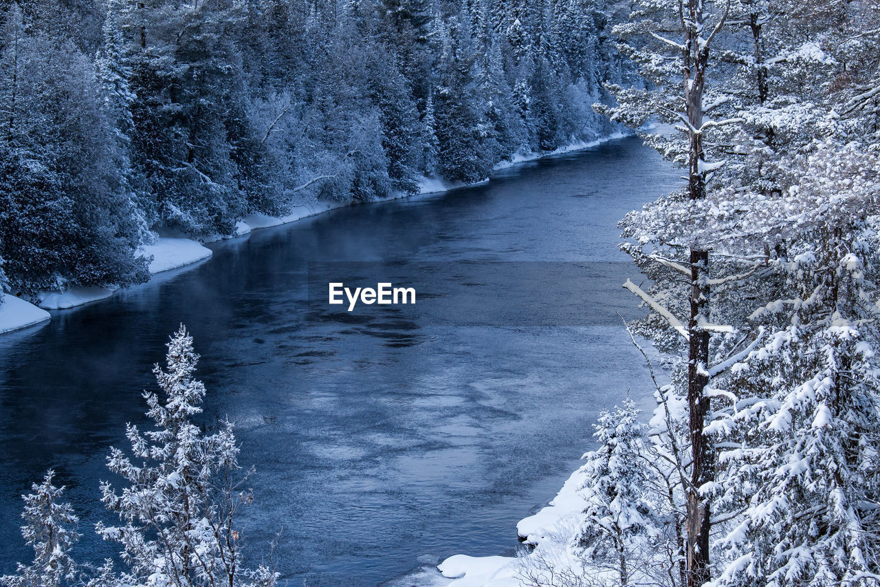 FROZEN RIVER AMIDST TREES IN FOREST