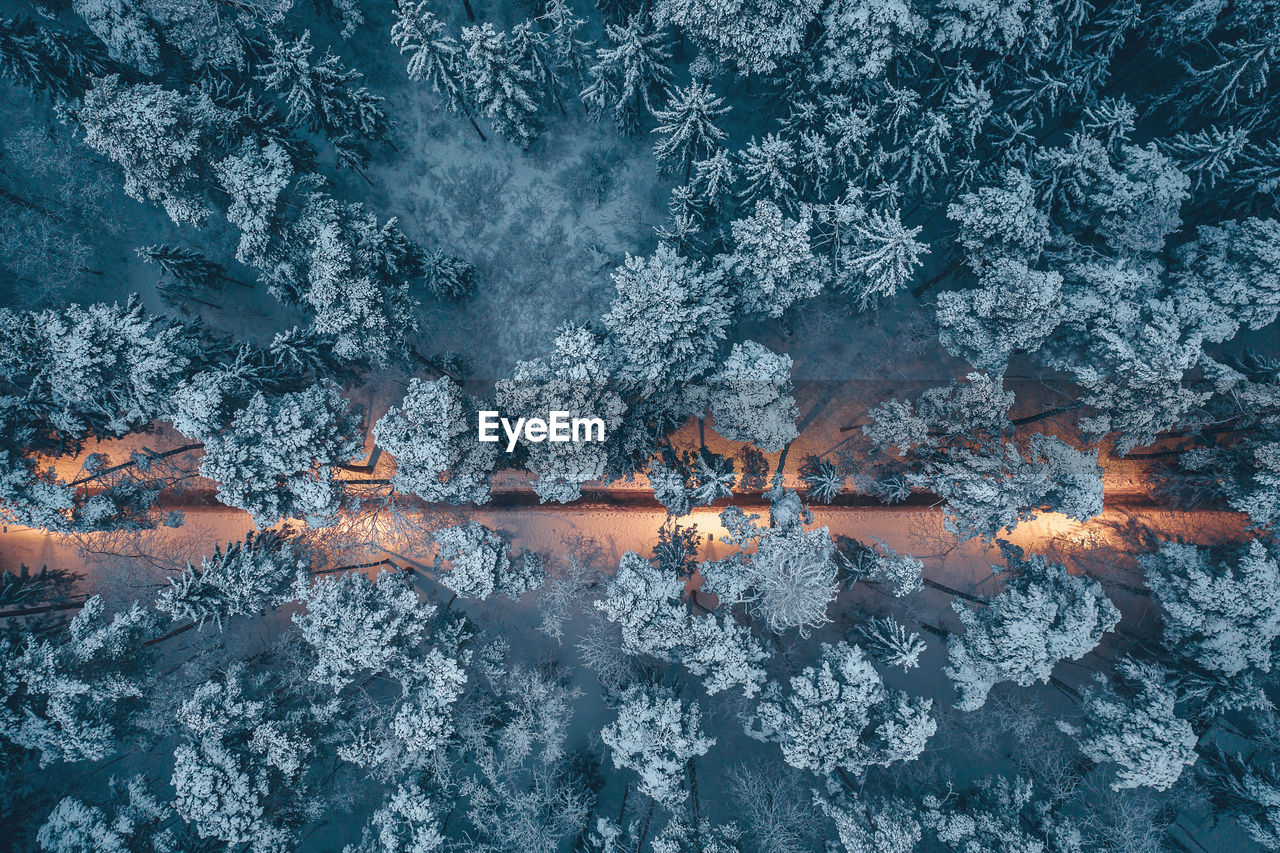 FULL FRAME SHOT OF SNOW COVERED LAND