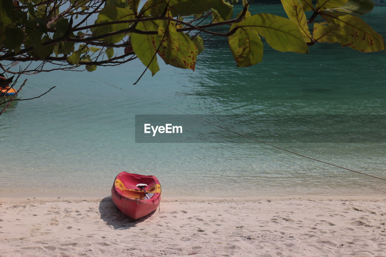 beach, water, land, nature, sand, sea, tree, plant, beauty in nature, day, tranquility, shore, no people, outdoors, body of water, leaf, holiday, scenics - nature, red, sunlight, tranquil scene, vacation, plant part, trip, idyllic