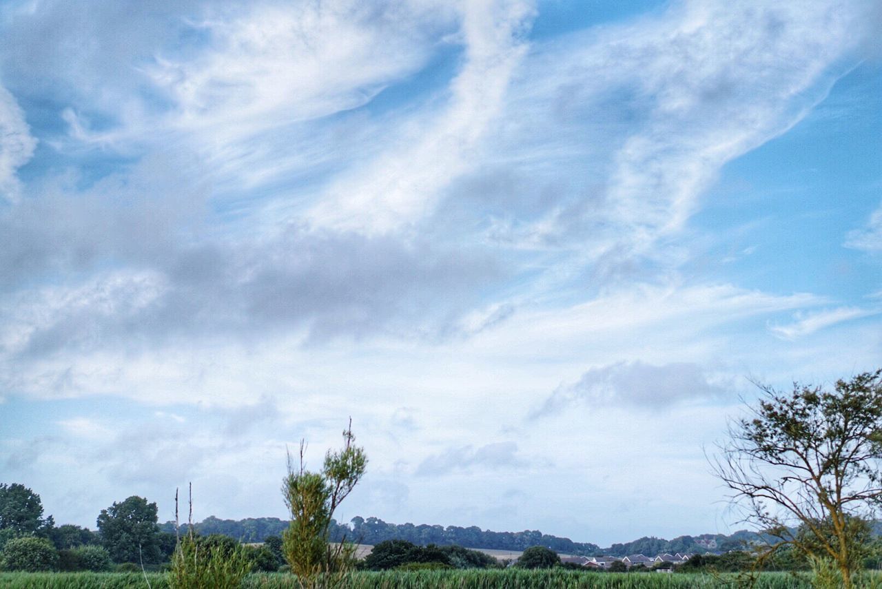 Scenic view of landscape against cloudy sky