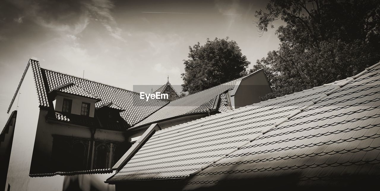 LOW ANGLE VIEW OF BUILDING AND TREES AGAINST SKY