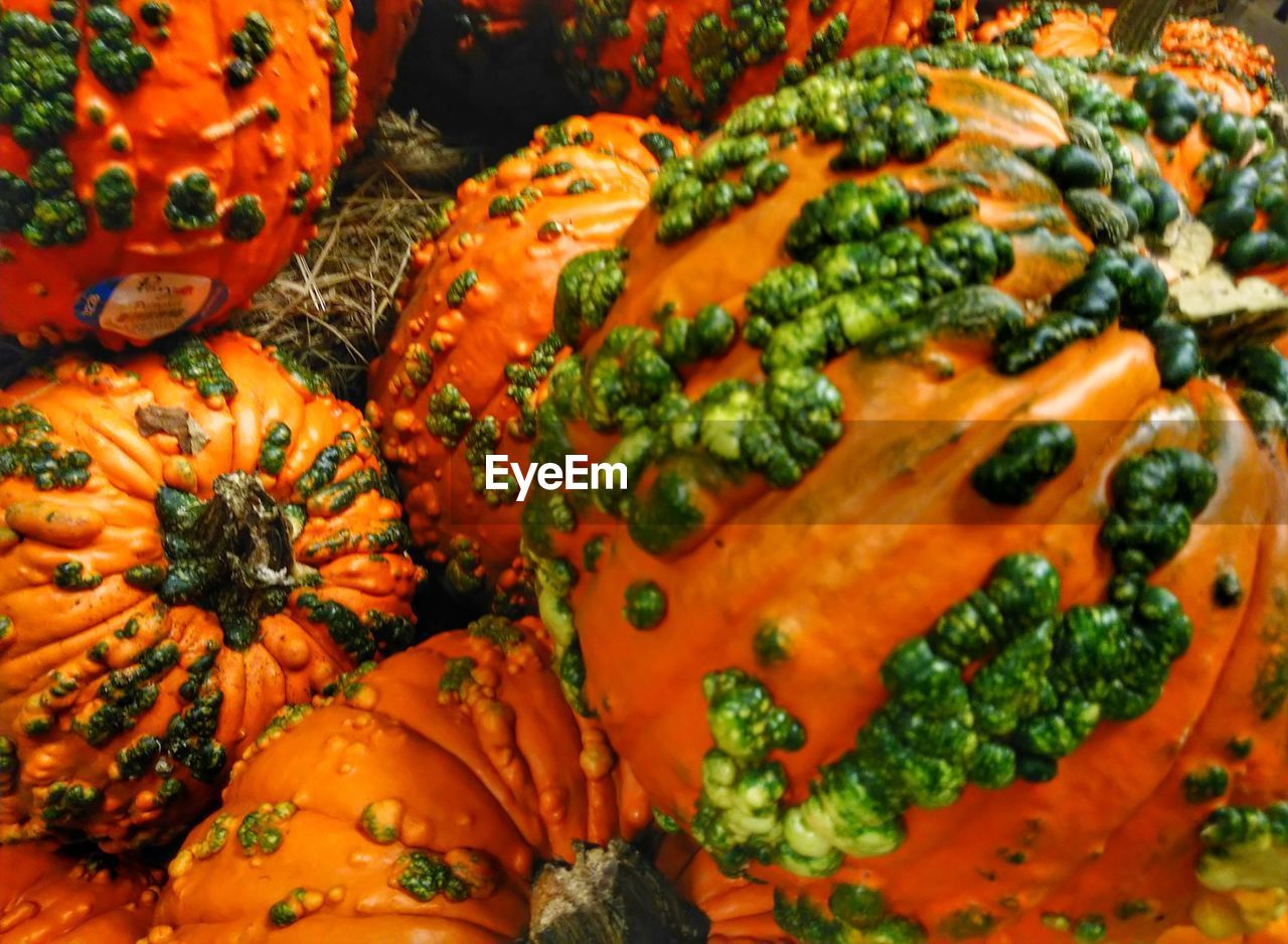 FULL FRAME SHOT OF VEGETABLES