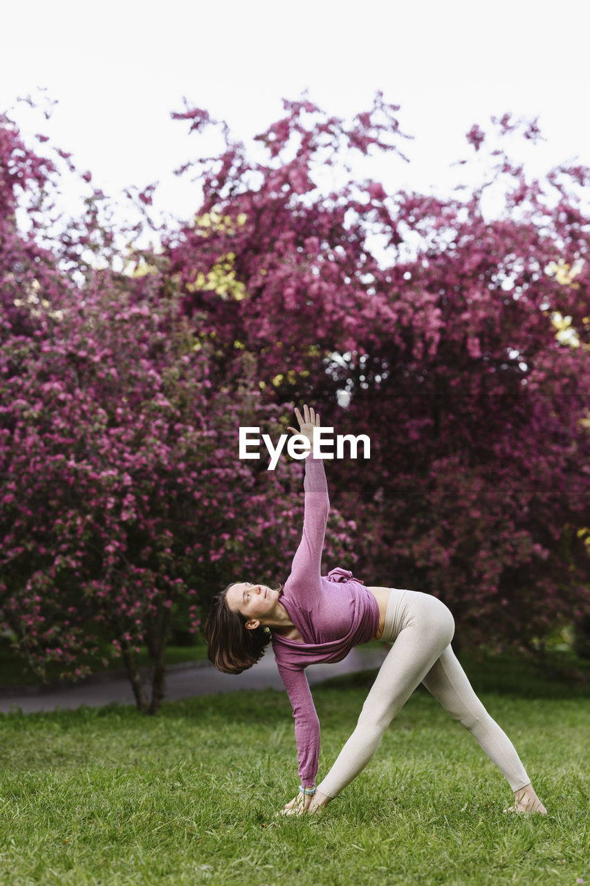 Woman practicing yoga in front of apple blossom trees