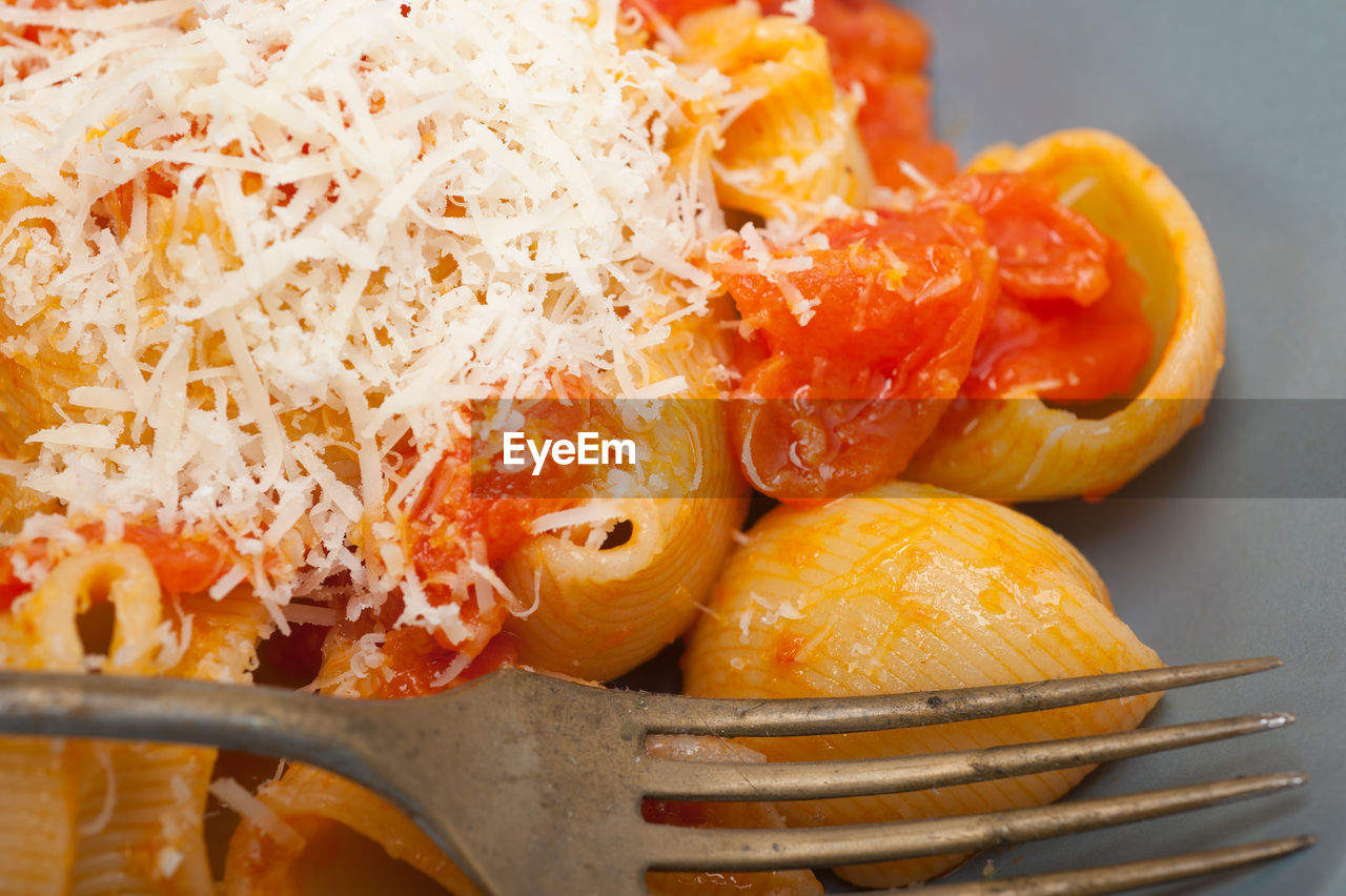 Close-up of lumaconi pasta served in plate on table