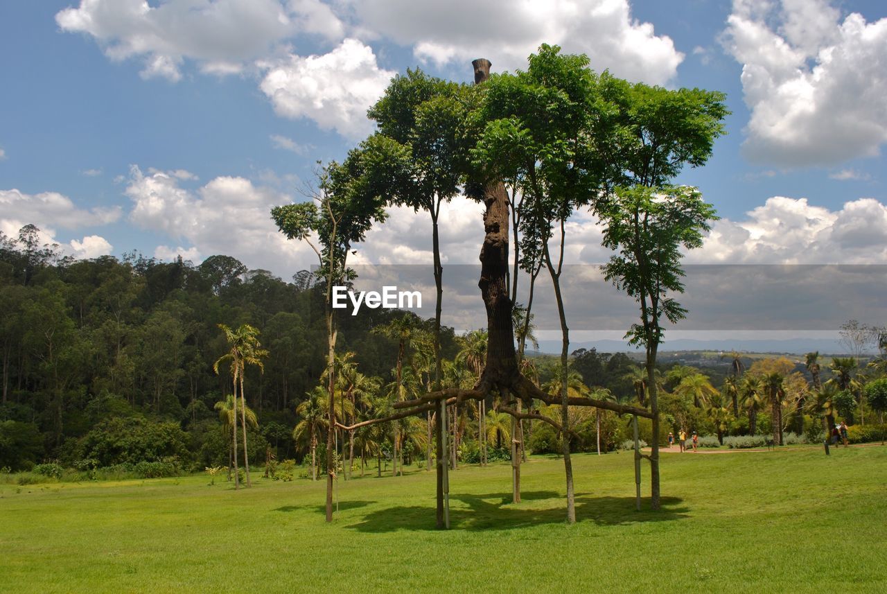 Scenic view of landscape against cloudy sky