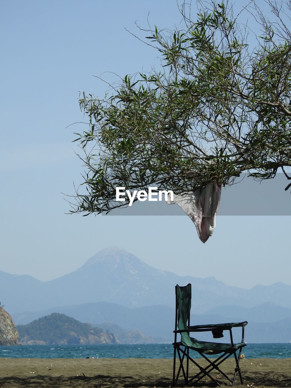 Scenic view of tree and mountains against sky