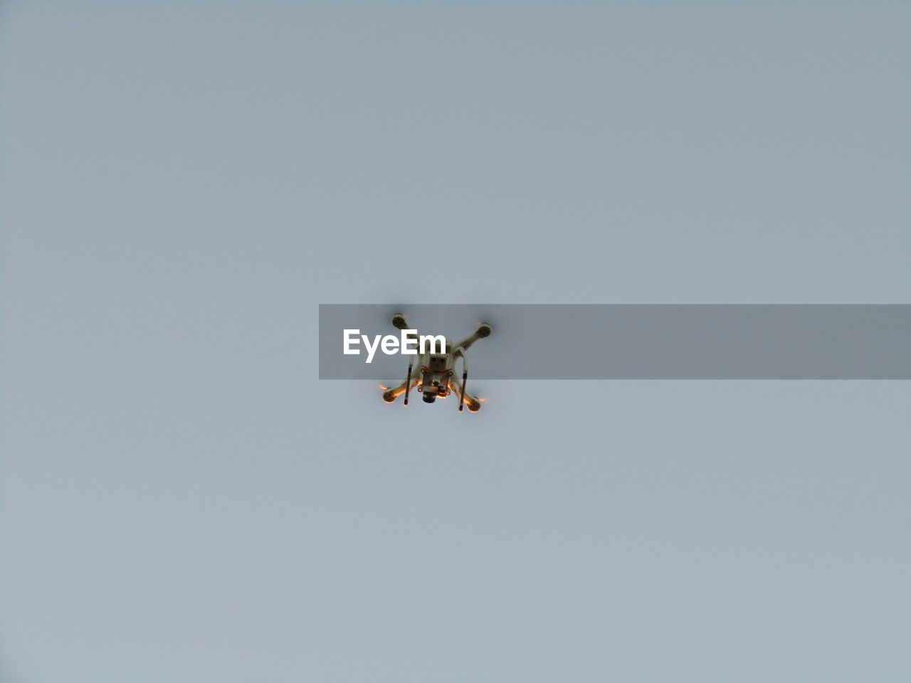 LOW ANGLE VIEW OF SPIDER ON ROCK AGAINST SKY