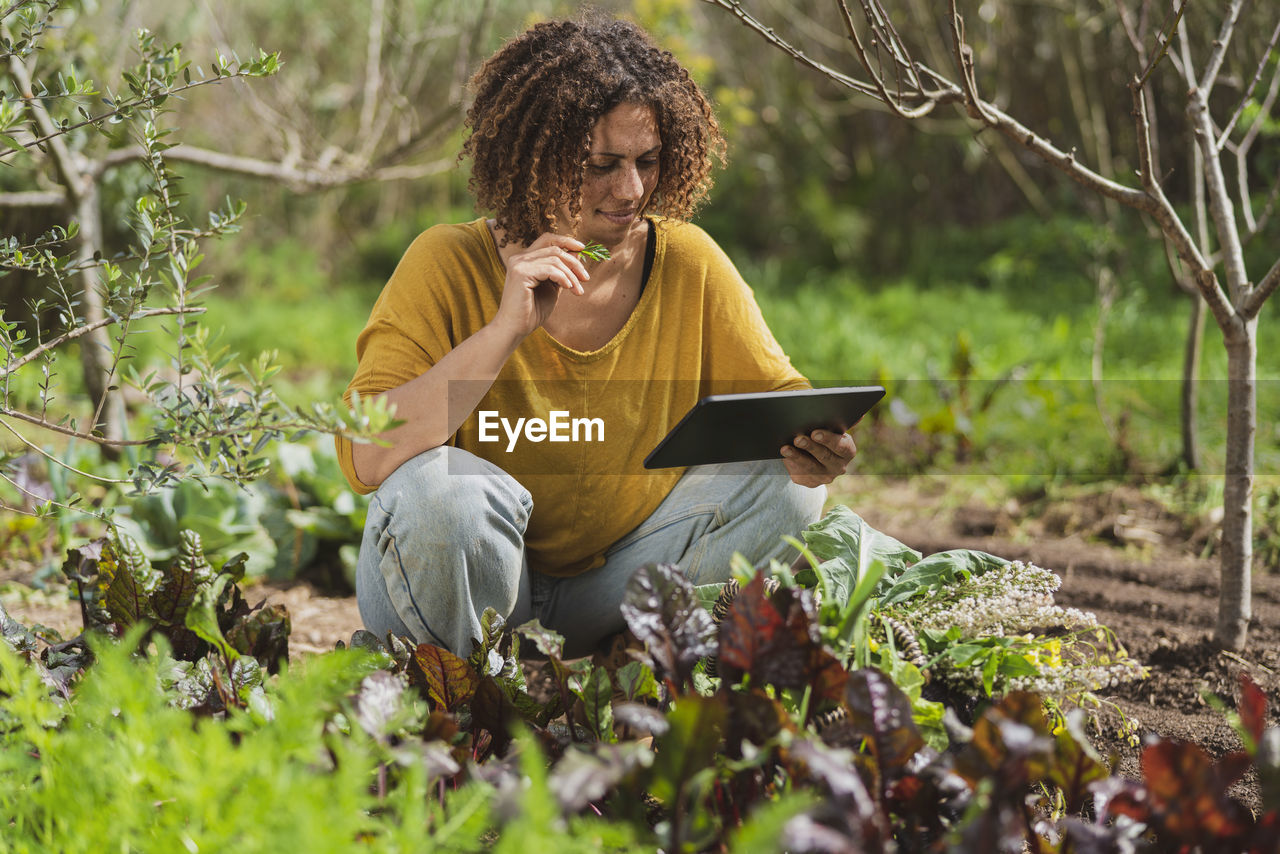 Woman picking herb while looking at digital tablet in garden