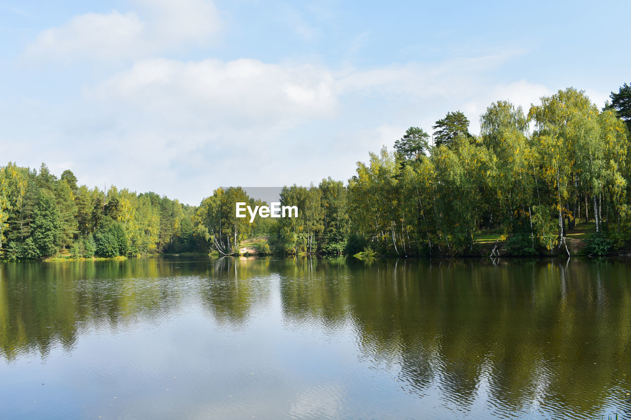 TREES BY LAKE AGAINST SKY