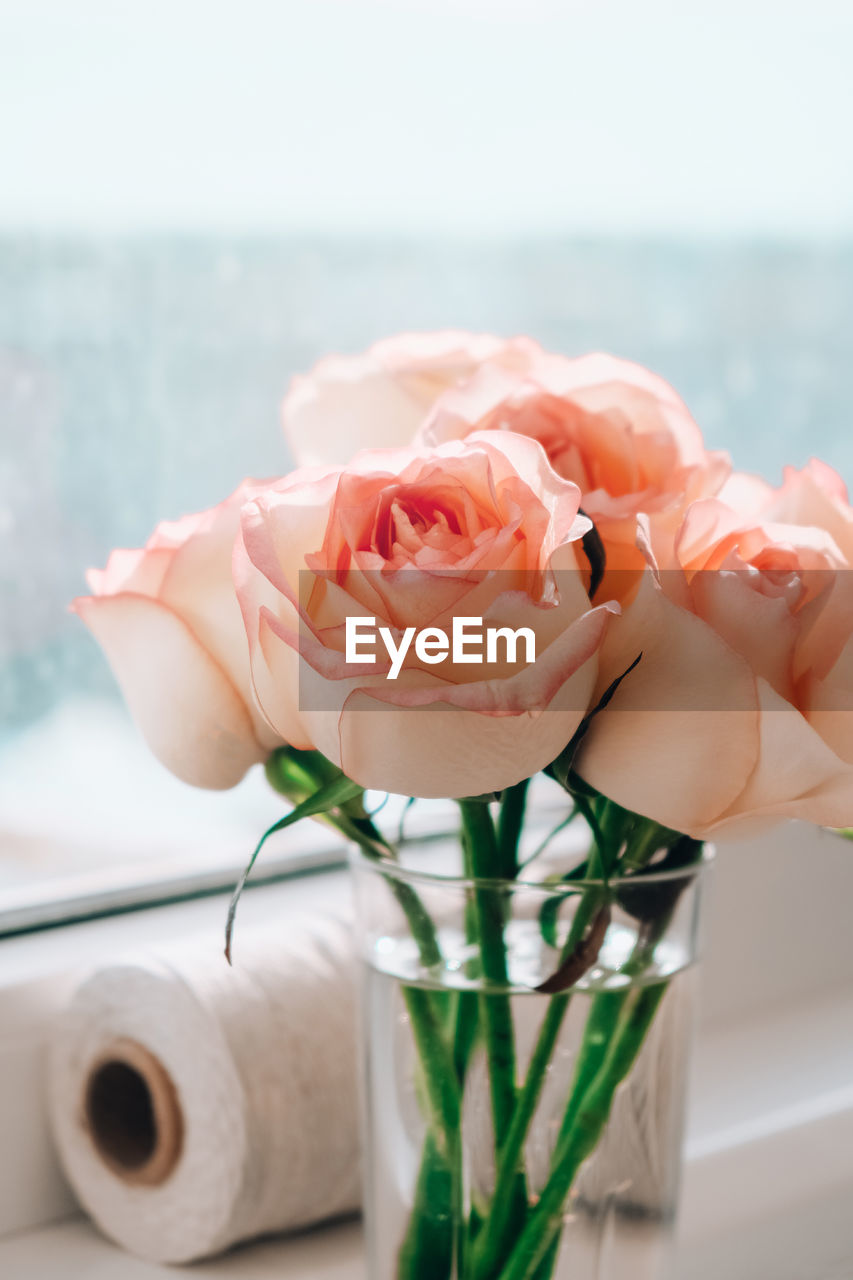 Tender pink roses in vase on windowsill. minimal composition. abstract art idea of flower bouquet. 