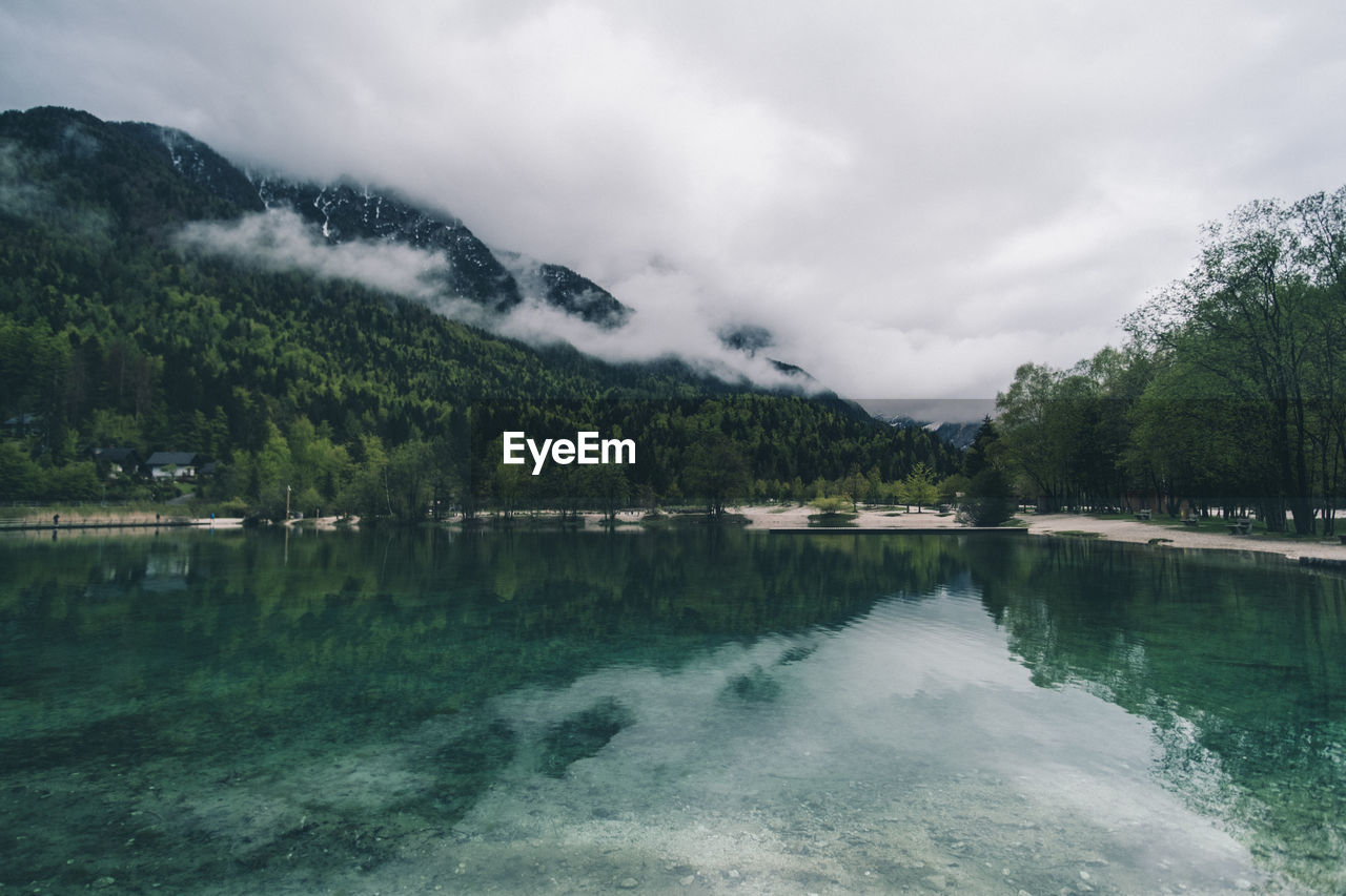 Scenic view of lake by trees against sky