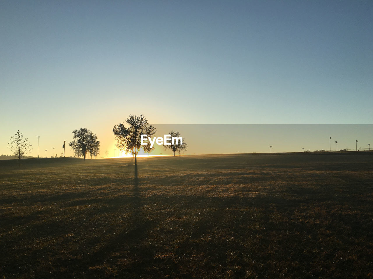 Scenic view of field against clear sky at sunset
