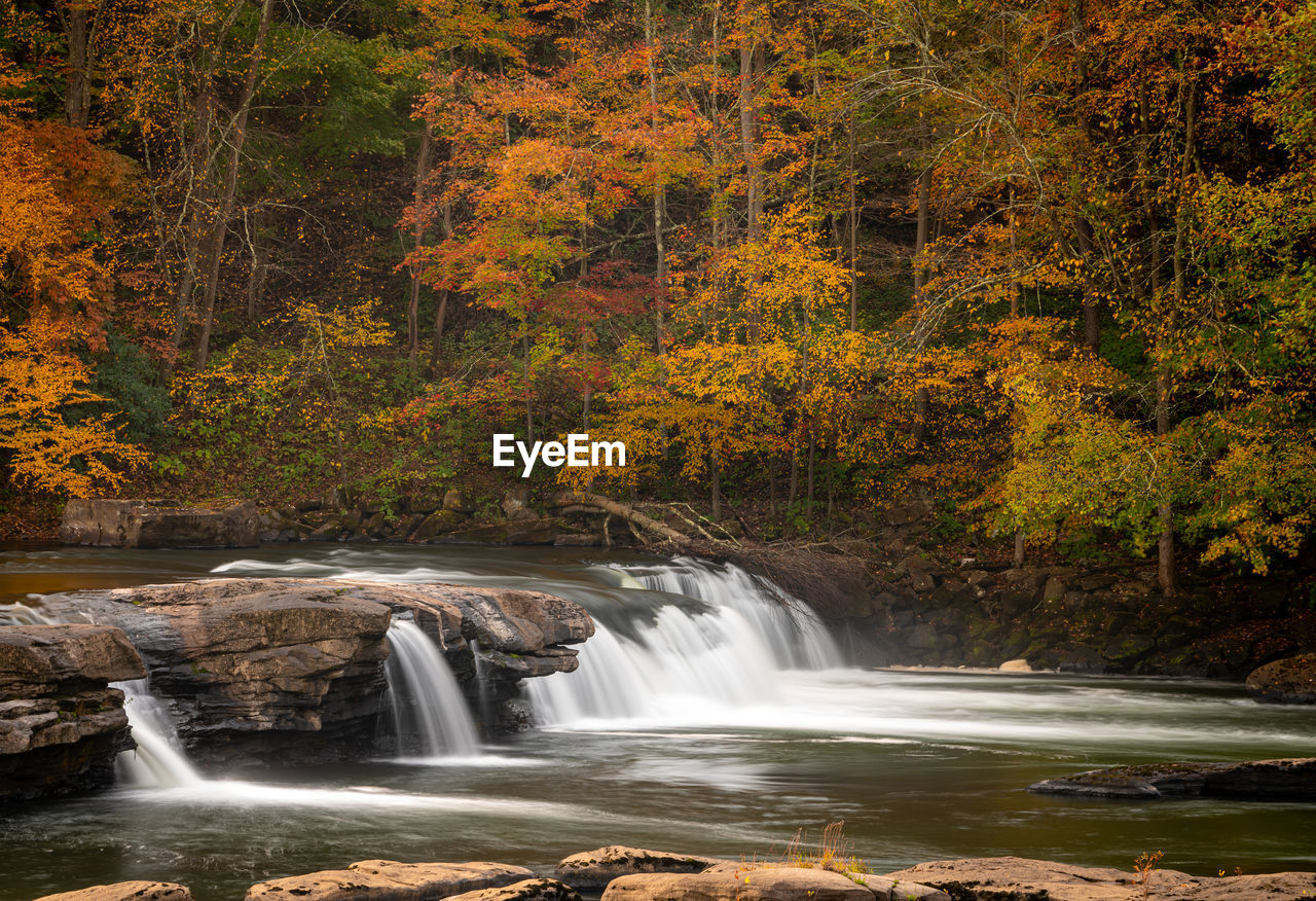 SCENIC VIEW OF WATERFALL