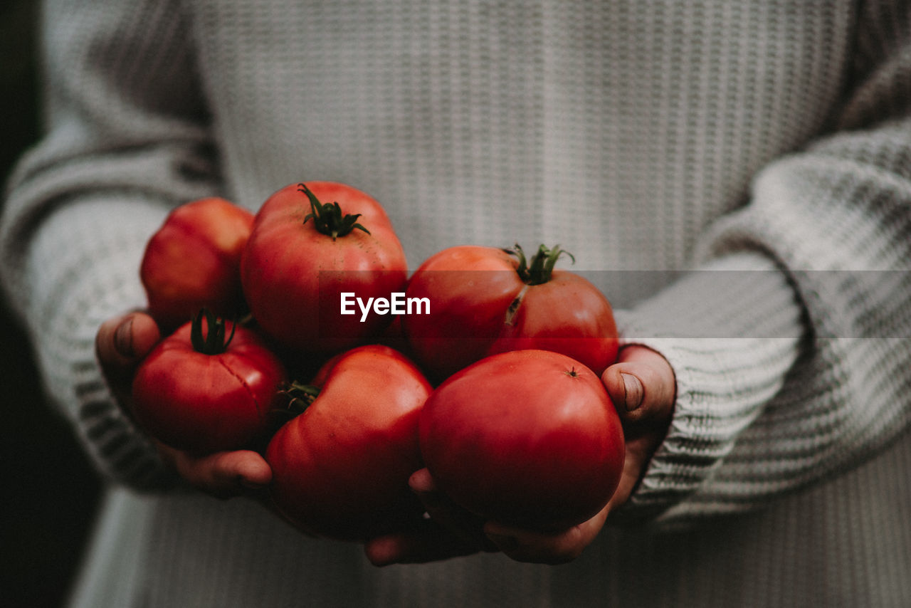 Midsection of person holding tomatoes