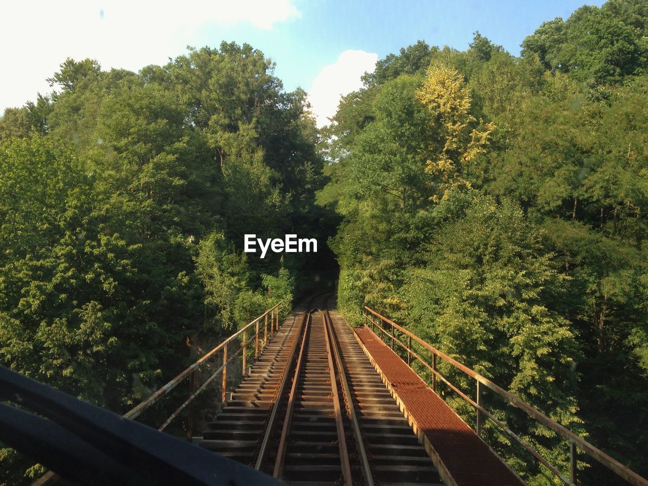 Railway bridge amidst trees seen through train windshield