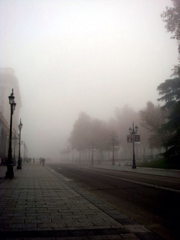 ROAD PASSING THROUGH FOGGY WEATHER