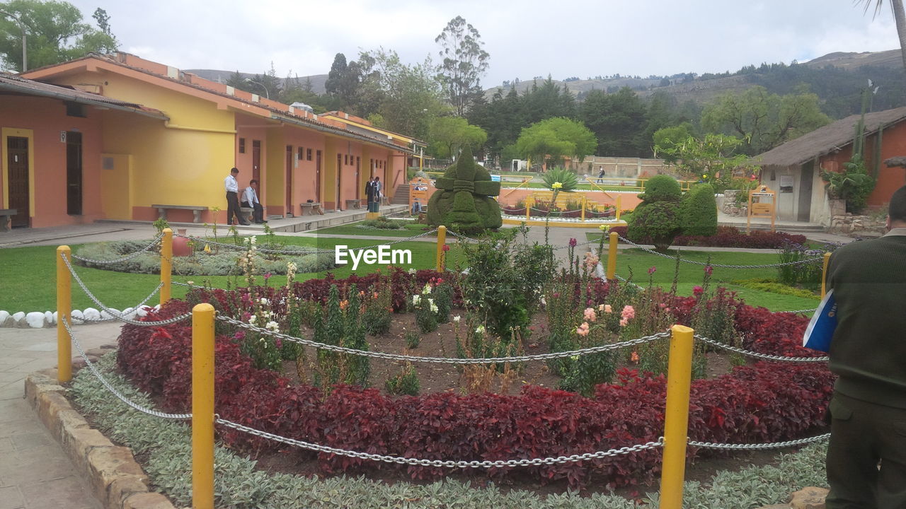 HOUSES BY PLANTS IN GARDEN