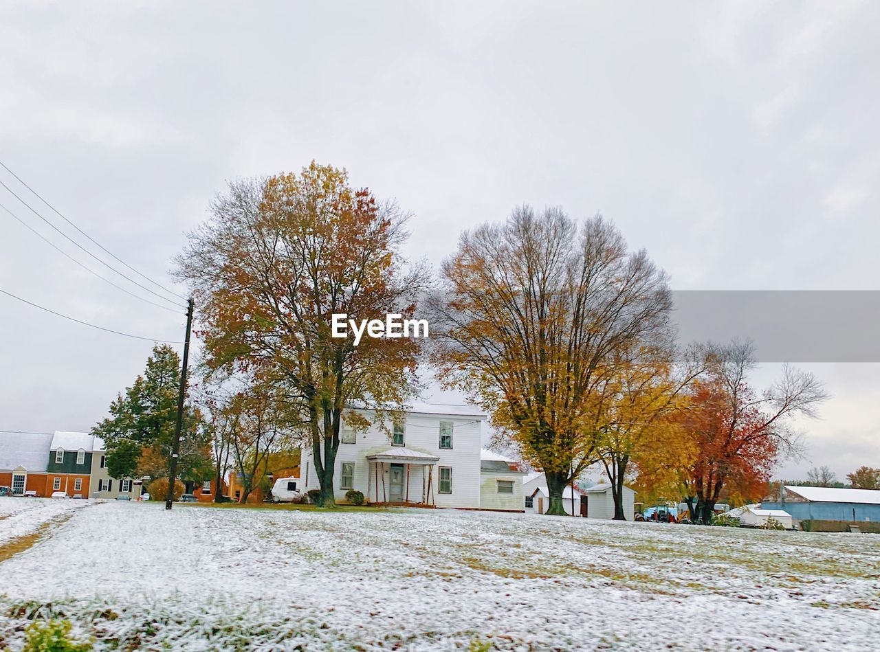 TREES AND HOUSES ON FIELD DURING WINTER