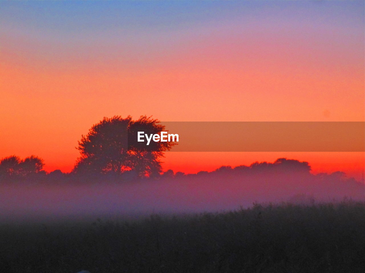 SILHOUETTE TREES ON LANDSCAPE AGAINST SKY DURING SUNSET