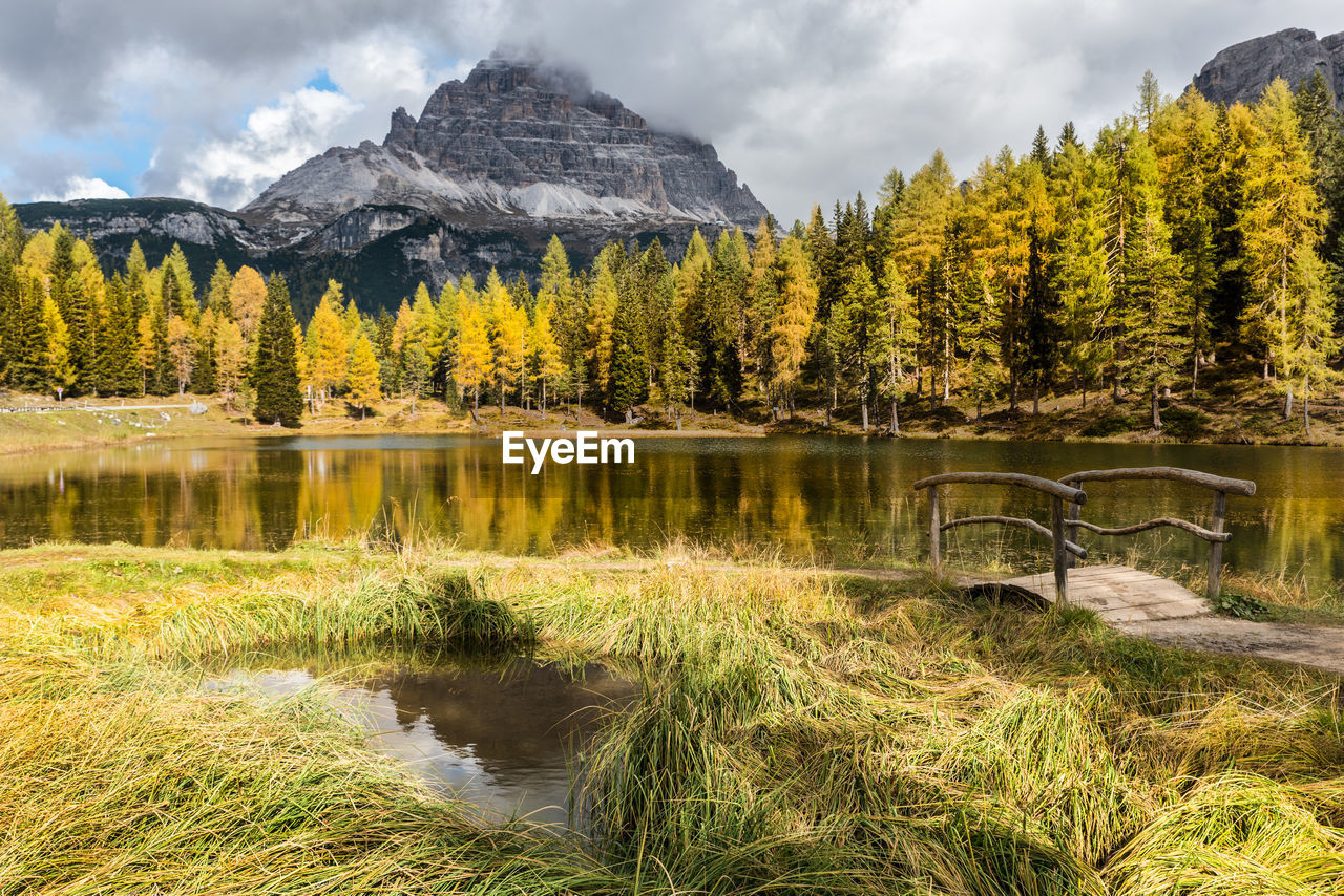 Scenic view of lake by trees against sky