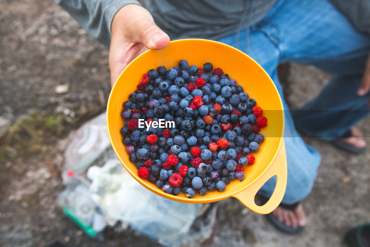 Low section of person holding berries in bowl