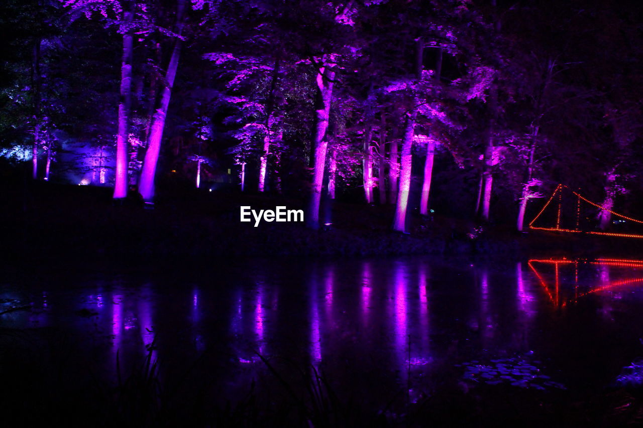 Illuminated trees by lake at night