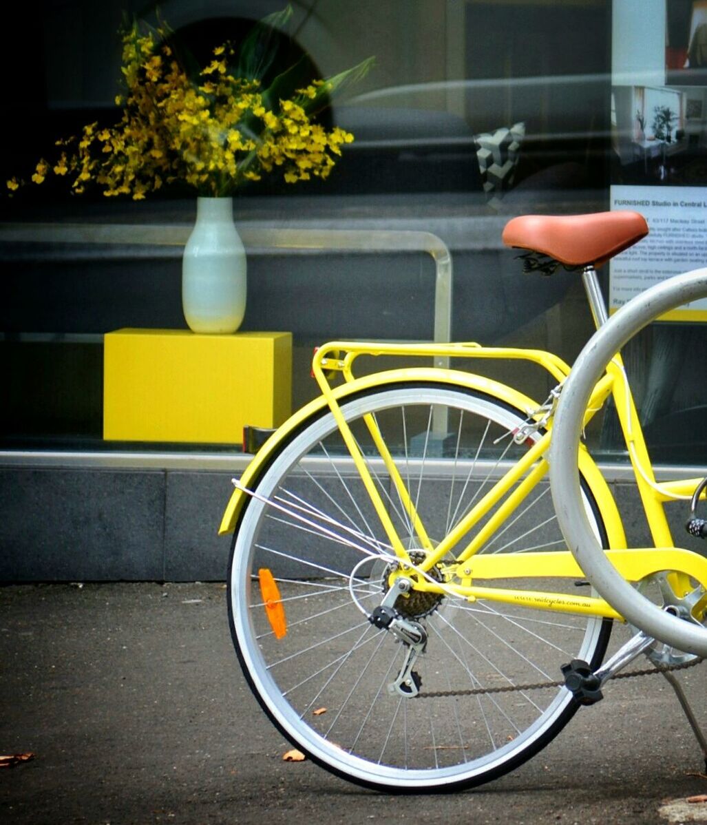 Close-up of bicycle parked on road