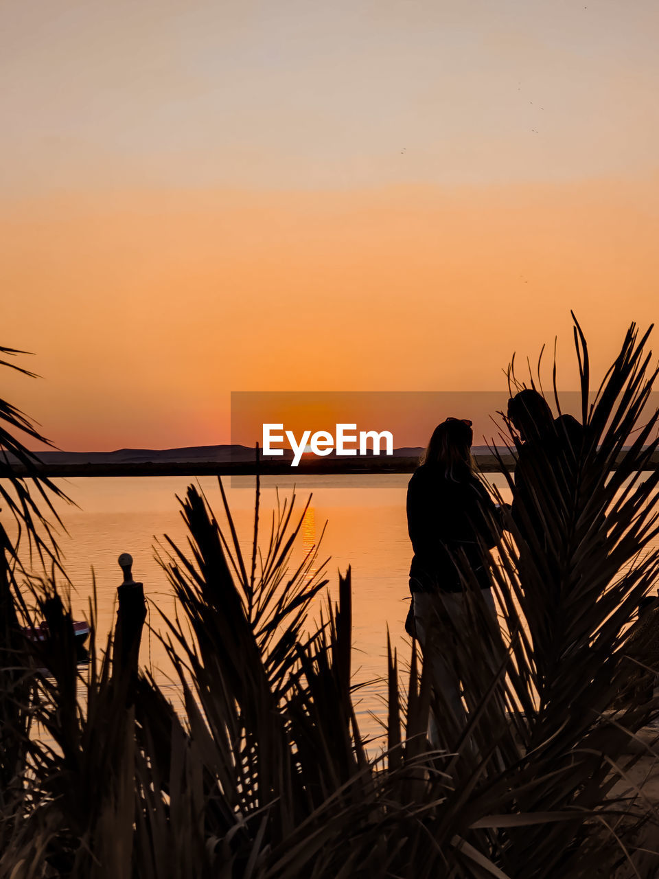 sunset, sky, water, silhouette, beauty in nature, sea, nature, scenics - nature, tranquility, beach, land, tranquil scene, plant, palm tree, evening, tropical climate, orange color, dusk, idyllic, horizon, tree, horizon over water, sun, sunlight, no people, outdoors, travel destinations, non-urban scene, coast, copy space, landscape, environment, ocean, afterglow
