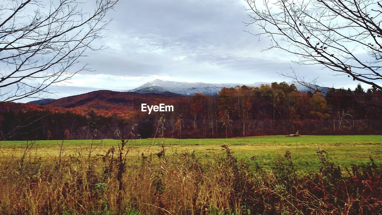 Scenic view of grassy field by mountain against cloudy sky