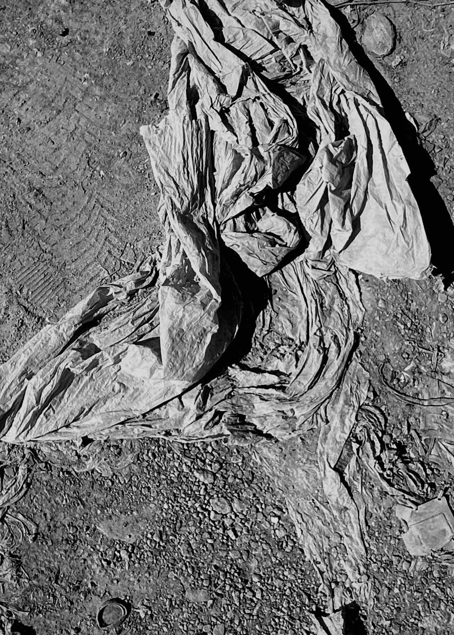 black and white, monochrome, monochrome photography, high angle view, no people, pattern, textured, sketch, day, close-up, nature, full frame, drawing, backgrounds, outdoors, land