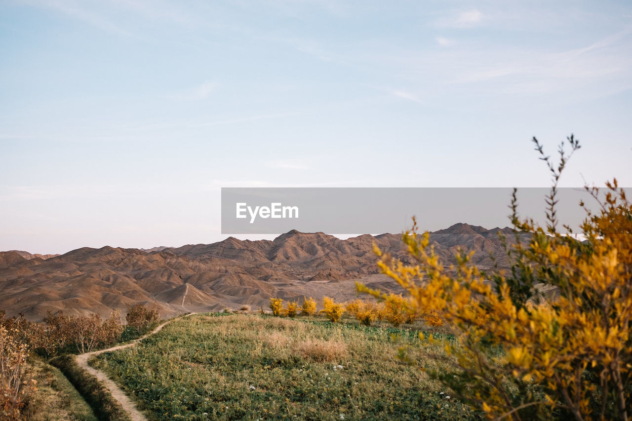 SCENIC VIEW OF FIELD BY MOUNTAIN AGAINST SKY