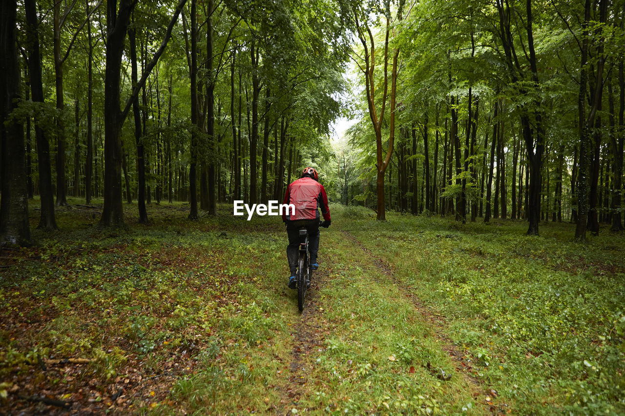 Sportsman riding bicycle in forest